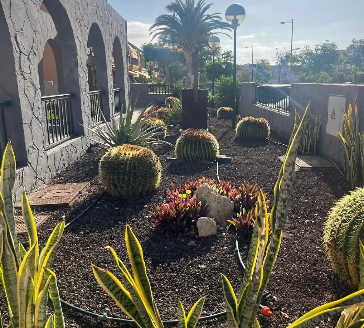Casa Montana Amarilla 60 Lägenhet Costa Del Silencio 0*,